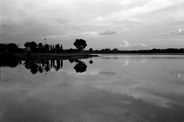 Lower Seletar Reservoir / Part II.